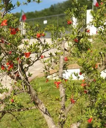 Bed & Breakfast B&B Stella Del Cilento & Del Sole